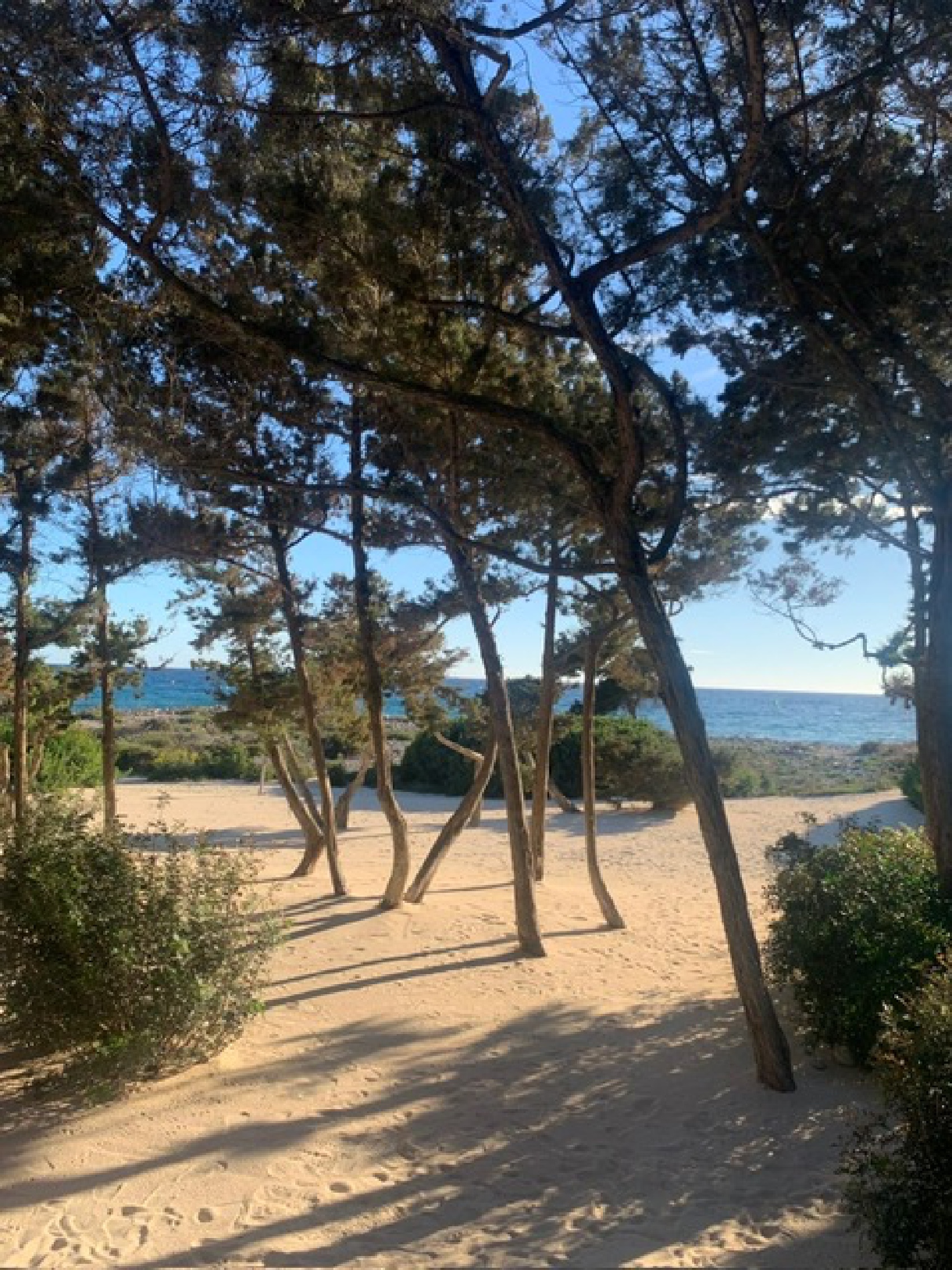 9678697a-b4da-4668-93cf-c303a1b9f77ev4